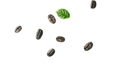 Fresh coffee beans scattered with a green leaf, symbolizing natural flavors and rich aromas. Perfect representation of quality coffee cultivation.