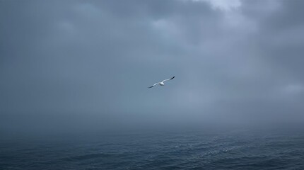 A solitary seagull flying above a dense foggy ocean, sea, grunge