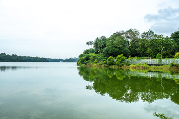 The views along the Mandai Boardwalk in Singapore 