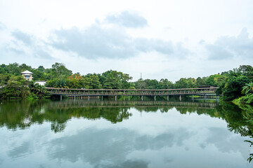 Fototapeta premium The views along the Mandai Boardwalk in Singapore 