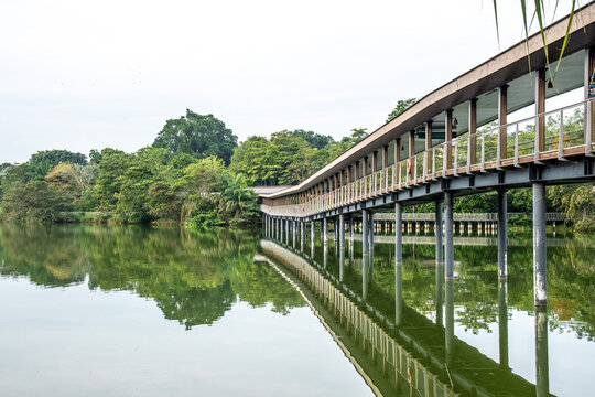 The views along the Mandai Boardwalk in Singapore 