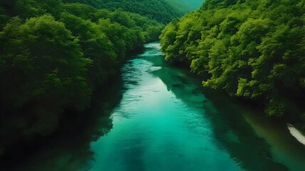 Aerial view of turquoise river flowing through lush green forest