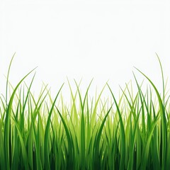 Obraz premium Green Grass Border on White Background Vector Illustration