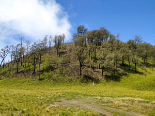 Beautiful natural scenery in Mount Lawu area which is located on the border of Central Java and East Java provinces, Indonesia.