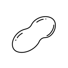 Simple Peanut Illustration: A minimalistic line drawing of a peanut, isolated, perfect for food-related designs.