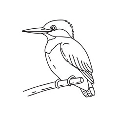 Obraz premium kingfisher perched on a branch, poised to dive into the water