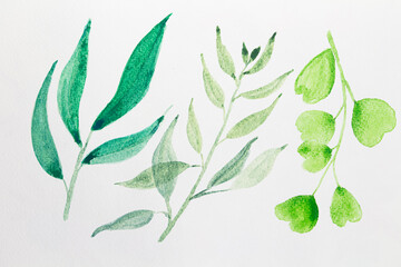 Hand-drawn Watercolor of leaf hand painted illustration abstract on white paper