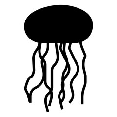 Jellyfish