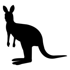 Kangaroo