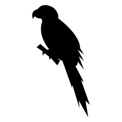 Parrot