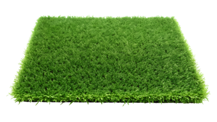 Artificial green carpet grass isolated on transparent white background, clipping path