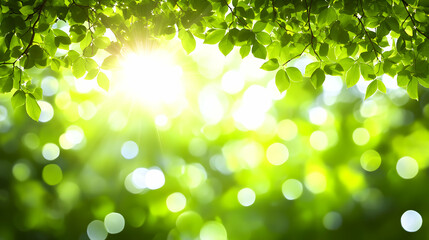 Obraz premium Vibrant green leaves frame a sunlit, bokeh-filled background, ideal for nature, spring, or eco-friendly themes.