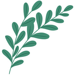 Minimalist Leaf Illustration, Elegant Greenery, and Botanical Art