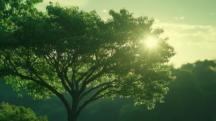 Lush tree bathed in golden sunlight, serene landscape, nature's beauty