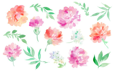 PNG clipart set of abstract watercolor carnations.  Hand-painted carnation illustration collection for Mother's Day.