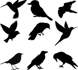 set of birds silhouettes