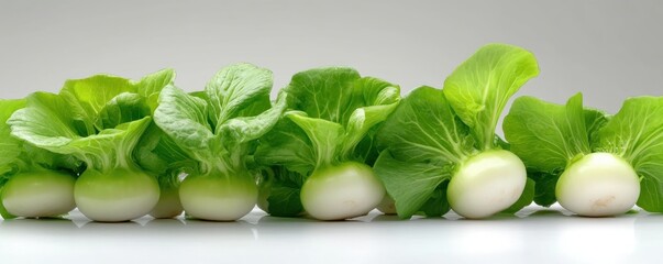 Discover the culinary world with Fresh turnip greens on a white background, highlighting their vibrant color and culinary versatility Explore the benefits of these leafy vegetables, perfect for