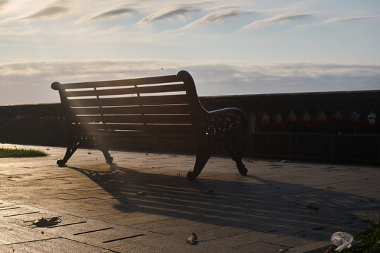 bench on the river - Powered by Adobe