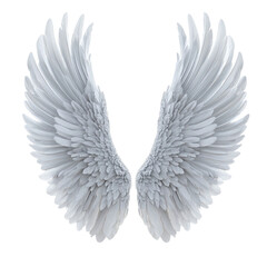 Obraz premium Majestic White Wings Soaring High Pure Serenity Peace