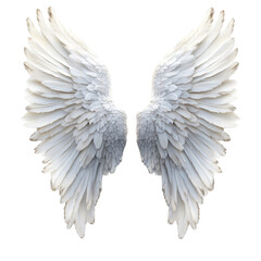Fototapeta premium Majestic white angel wings soaring high freedom hope peace