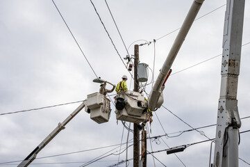 Line crew workman in hydraulic lift bucket high up working on power lines at wood utility pole,...