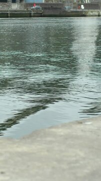 Wind making ripples in the water