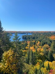 Autumn Forest and Lake View