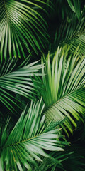 Lush tropical palm leaves overlapping in dense green foliage