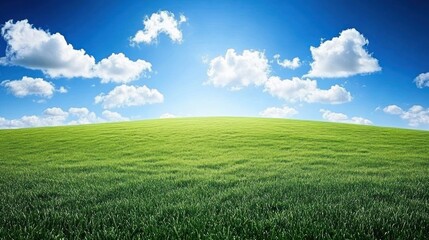 Obraz premium Serene Green Field Under a Bright Blue Sky