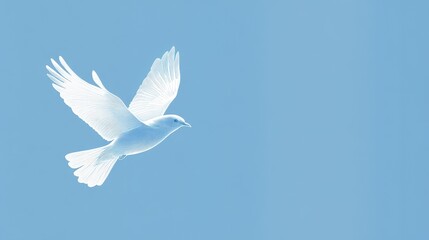 Ethereal White Bird in Flight Against Soft Blue Background