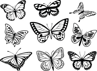 Different butterflies set. Vector illustration