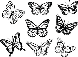 Different butterflies set. Vector illustration