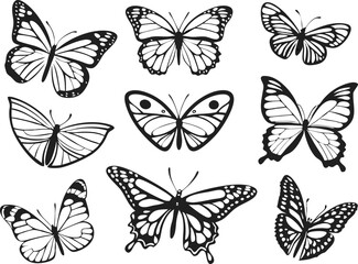 Different butterflies set. Vector illustration