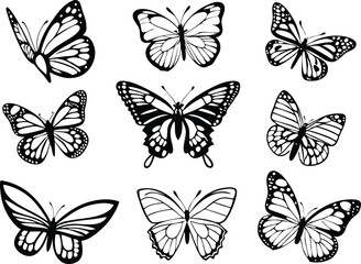 Different butterflies set. Vector illustration