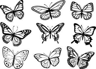 Different butterflies set. Vector illustration