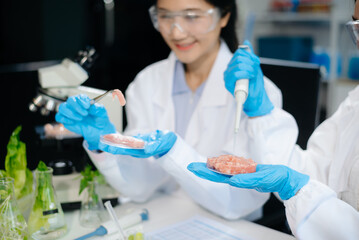 Fototapeta premium Food scientists in lab coats, testing samples, and analyzing food safety and quality