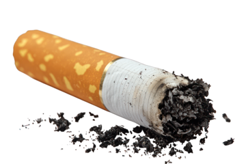 A close-up of a burnt cigarette with ash and remnants.