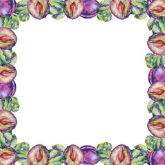Watercolor square frame with copy space purple fruit plum slice with seed and green leaves on white background. Hand-drawn art autumn summer sweet food. Creative for menu and wallpaper or cafe
