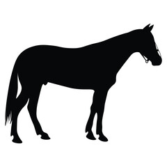 silhouette of a horse racing animal vector illustration