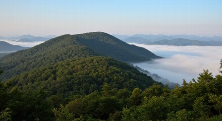 Obraz premium Photo of tropical forest landscape on a sunny day, white clouds are visible below the high mountains.