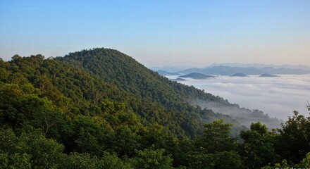 Fototapeta premium Photo of tropical forest landscape on a sunny day, white clouds are visible below the high mountains.
