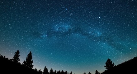 Fototapeta premium A starry night sky with a glowing moon over a peaceful winter forest