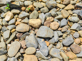 pebbles on the beach