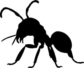Ant silhouette illustration vector design.