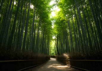 Fototapeta premium Serene Bamboo Forest Path A Tranquil Journey Through Lush Green Canopy