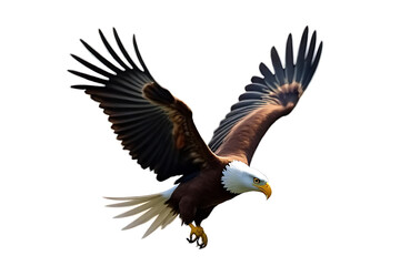 Obraz premium American Bald Eagle Soaring in Flight with Wings Spread Against a Clear Blue Sky