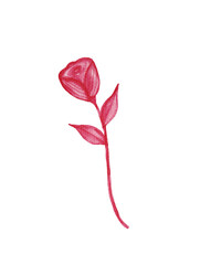 Red Watercolor Rose Clipart – Romantic Hand-Painted Floral Art