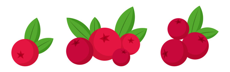set of cranberry fruit with green leaves cartoon illustration