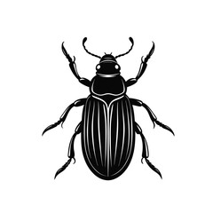 beetle vector illustration