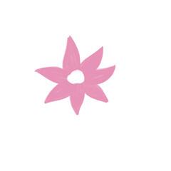 pink flower on white background